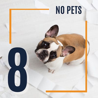 short term rental house rules - no pets